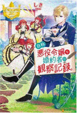 大雄与天空的理想乡国语版海报